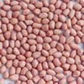 2015 New Crop Red Skin Peanut Kernels